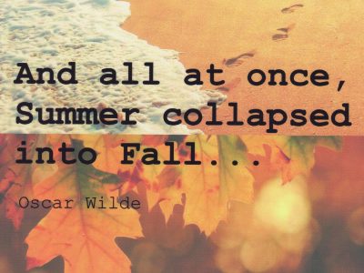 and all at once, summer collapsed into fall
