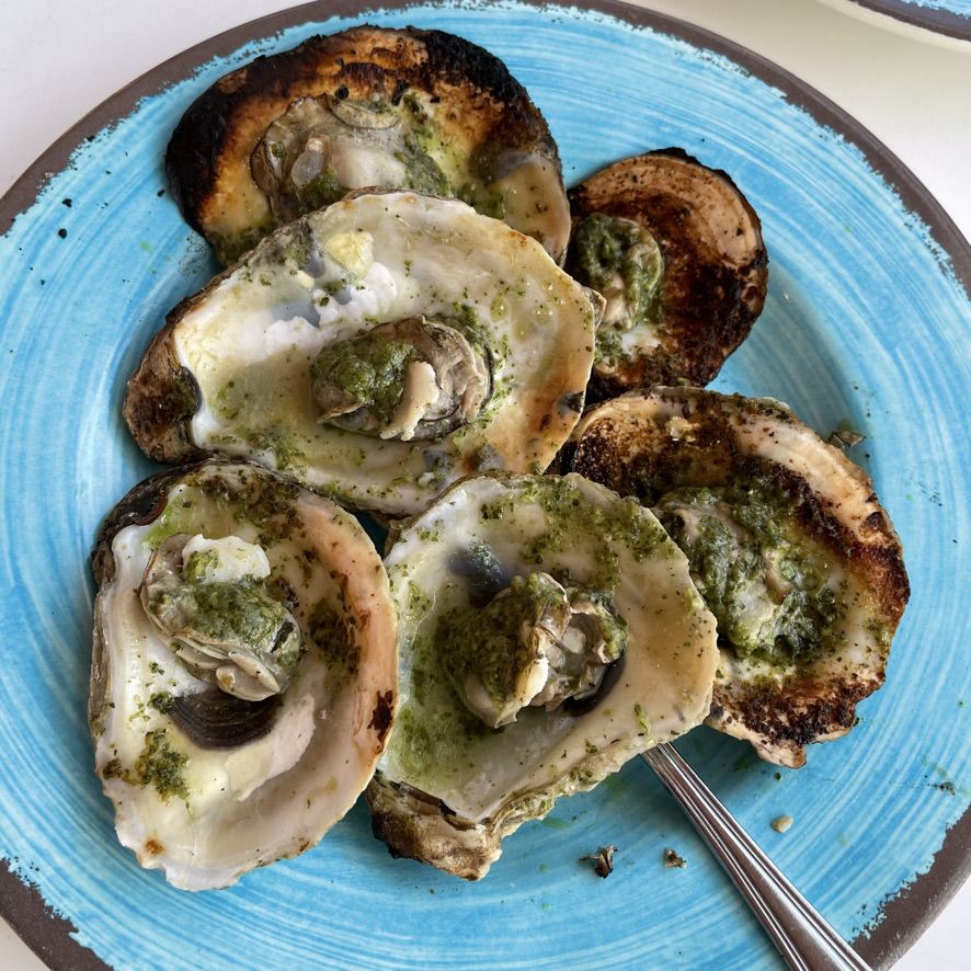 Oysters on a platter